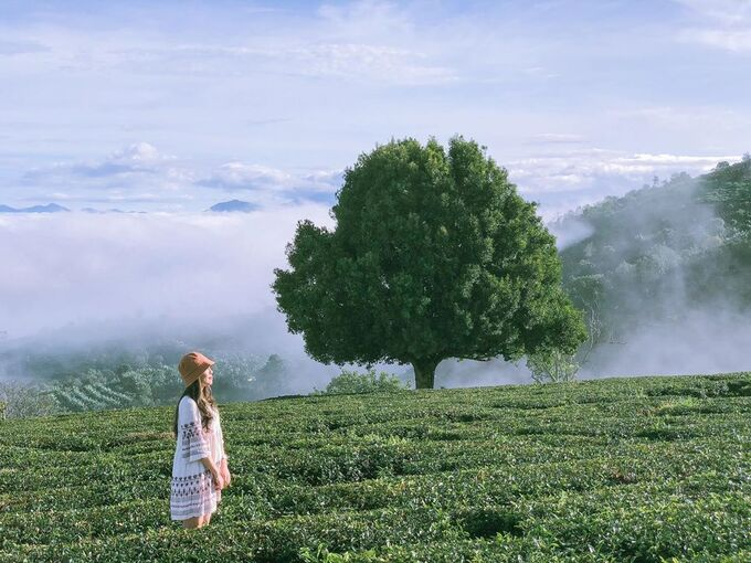 Five ideal hills for cloud hunting in Da Lat 0212 7